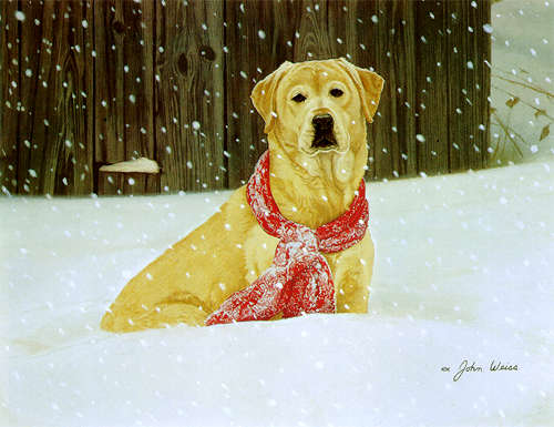 Got Snow??